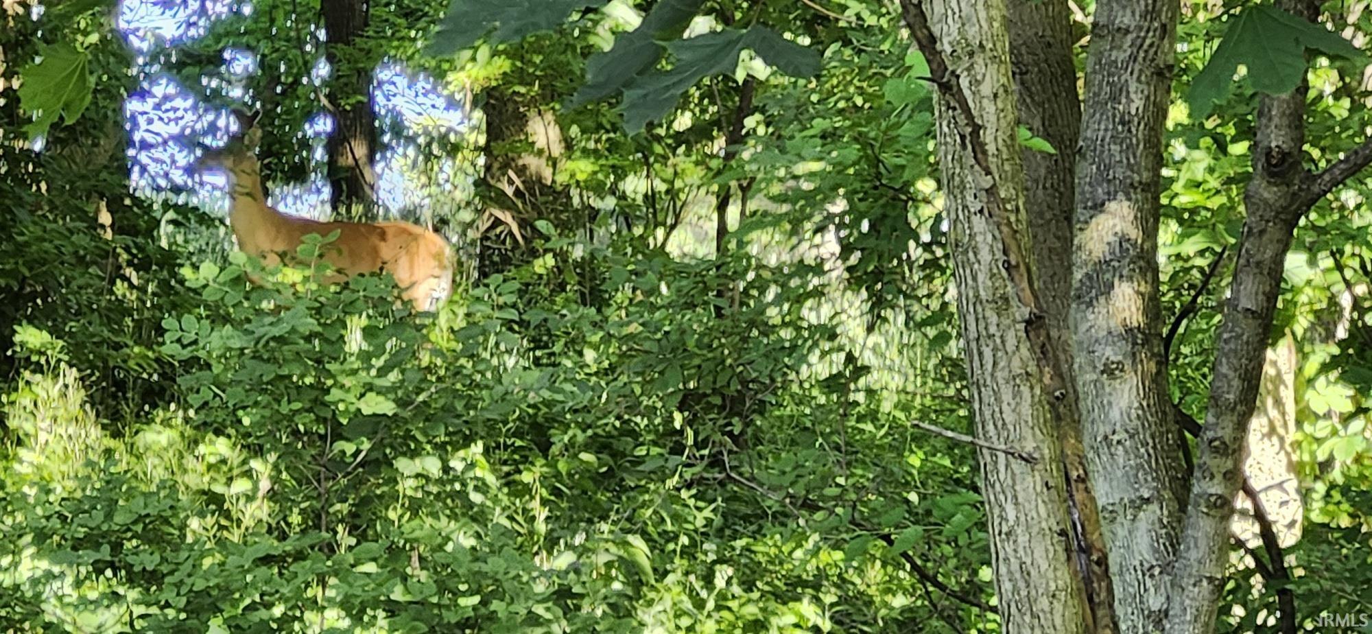 Photo 6 of lot 2 waters edge Drive