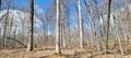 70 acres successfully auctioned in Martin County Indiana