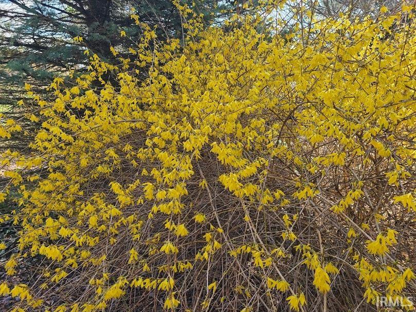 Photo 22 of TBD Huntington Street