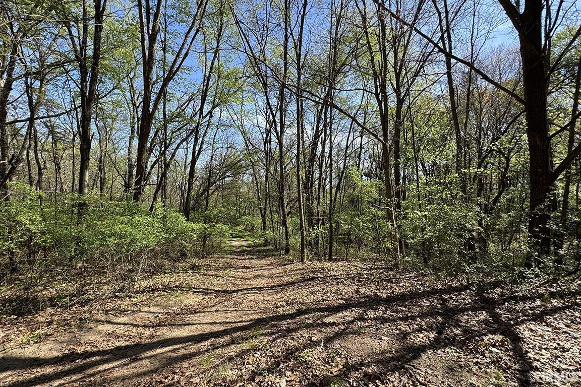 Photo 14 of TBD County Road 23