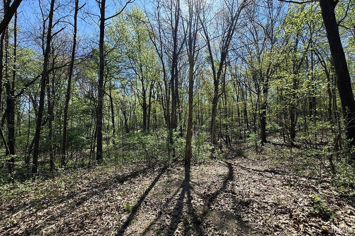 Photo 15 of TBD County Road 23