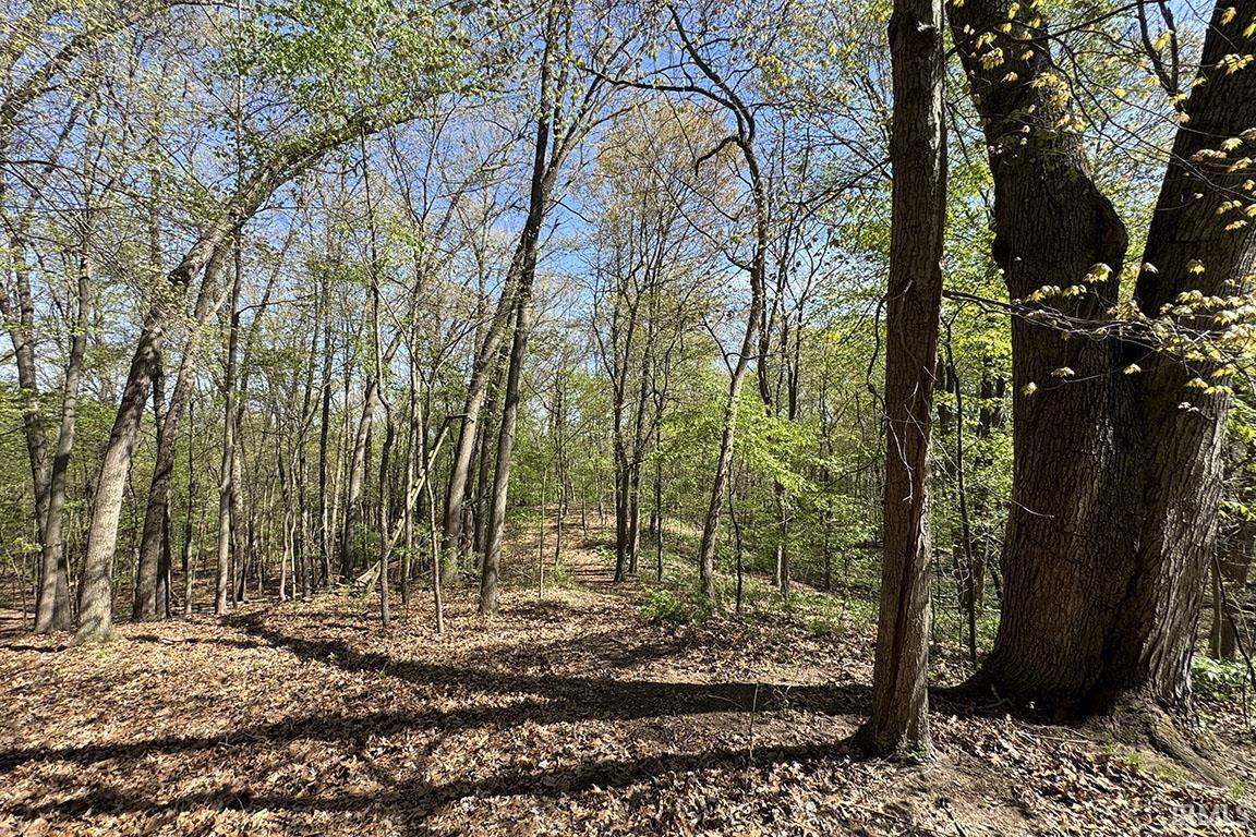 Photo 17 of TBD County Road 23