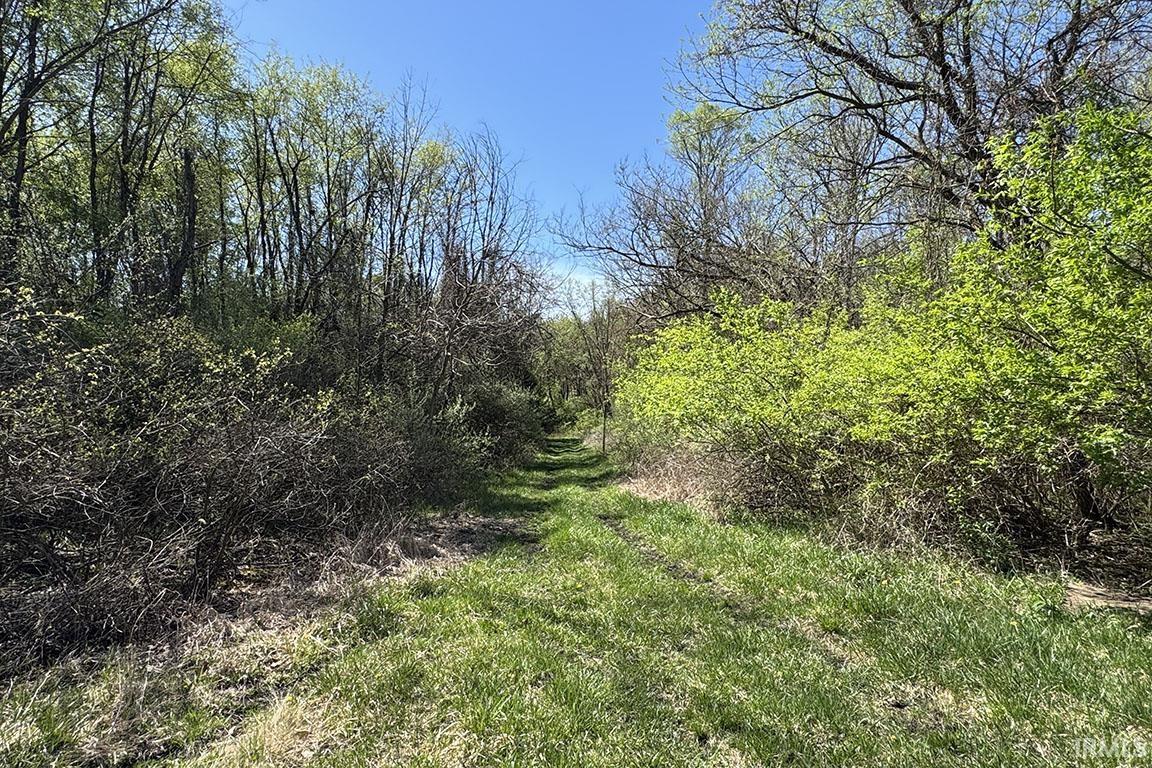 Photo 24 of TBD County Road 23