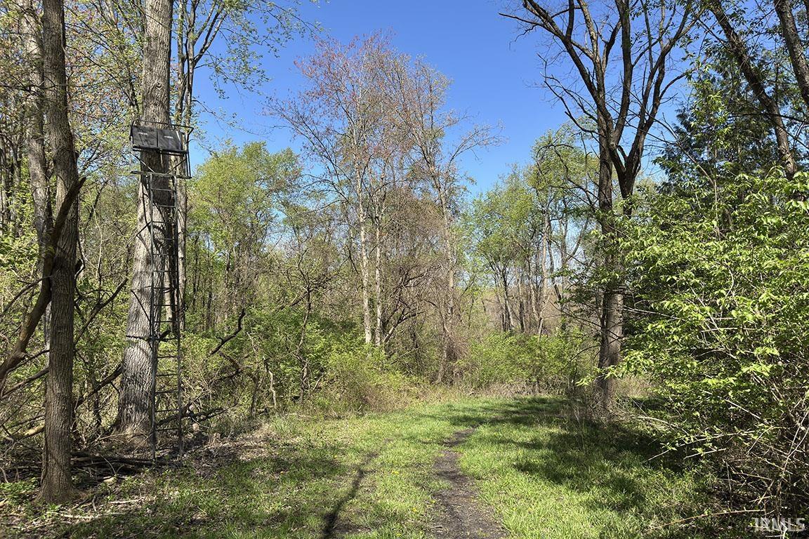 Photo 25 of TBD County Road 23