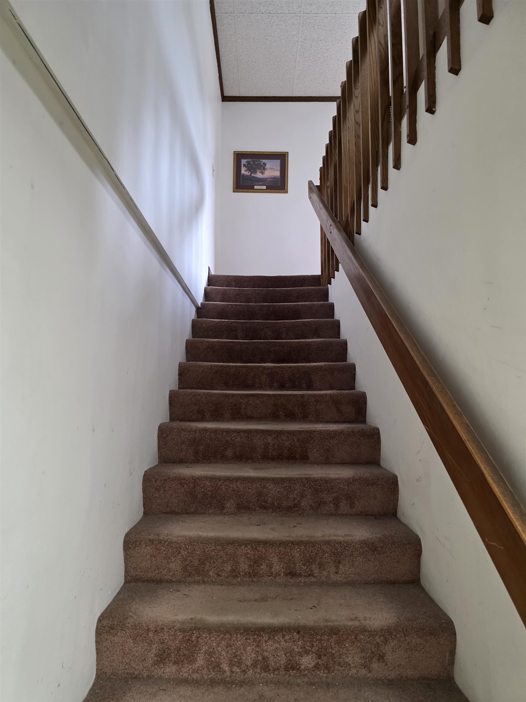 Photo 15 of 7319 W Jefferson Boulevard