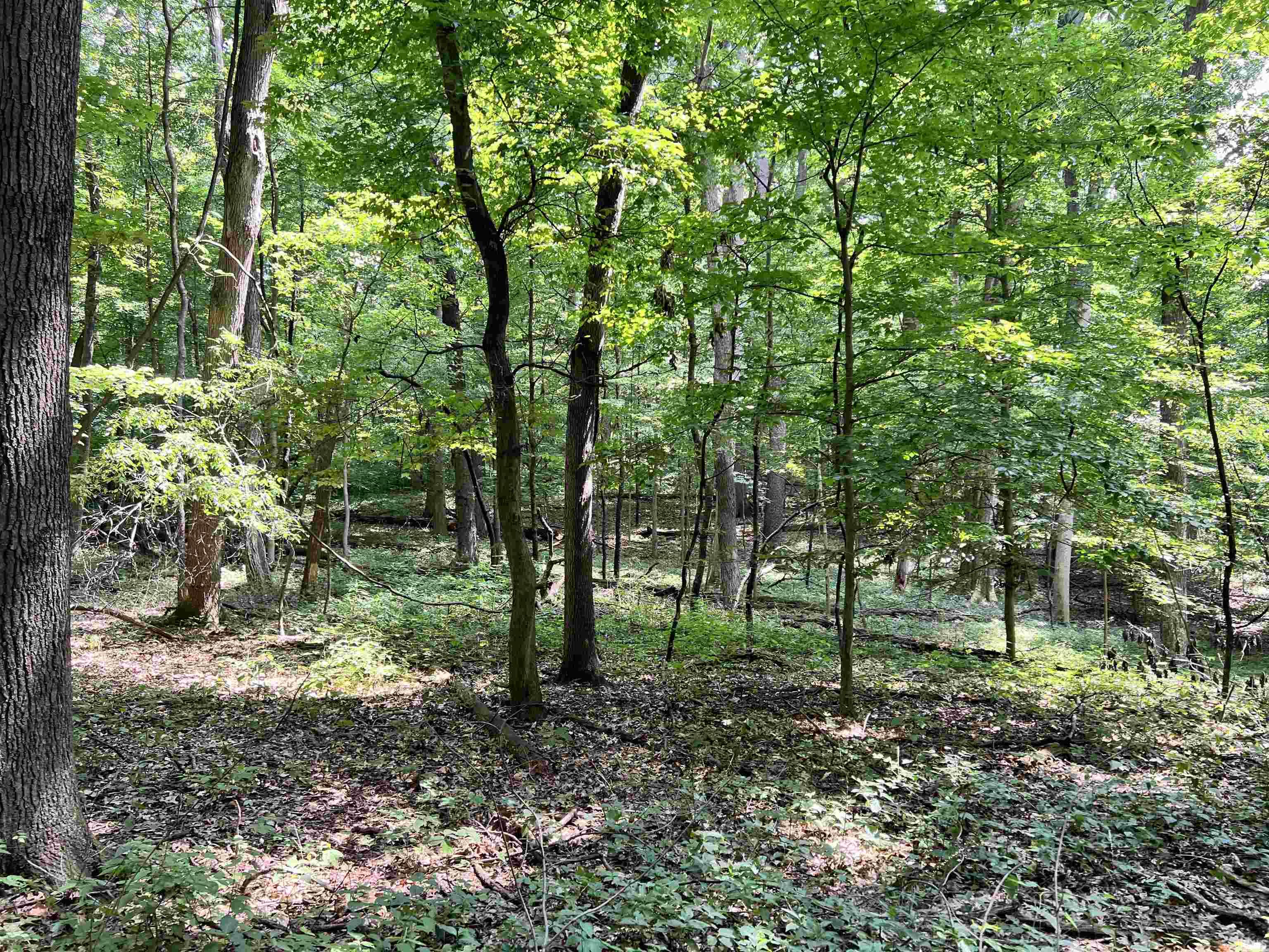 Photo 5 of 00000 Barbarrah Drive