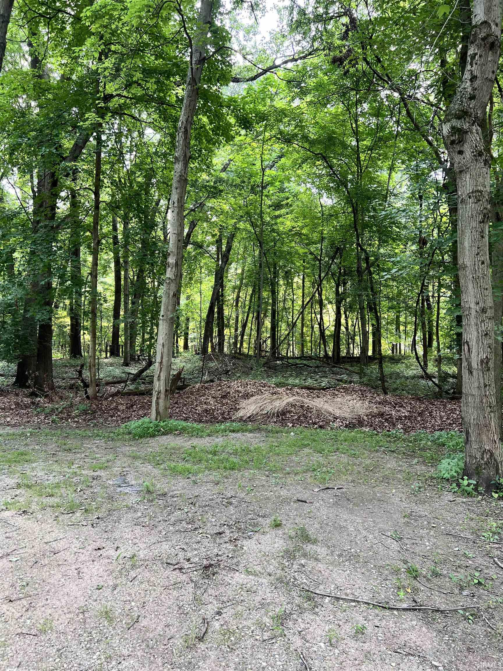 Photo 6 of 00000 Barbarrah Drive