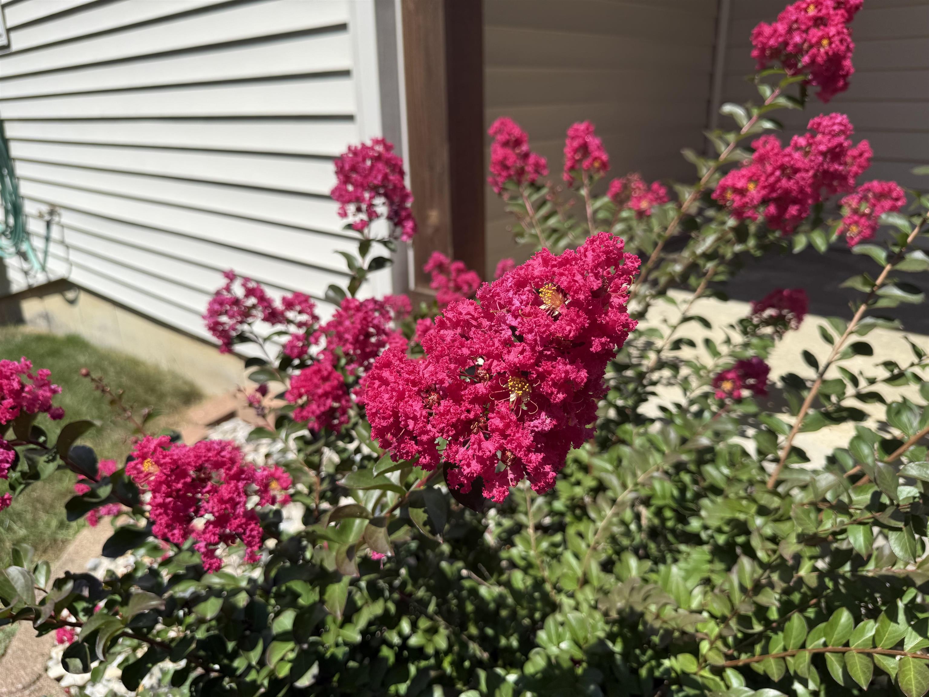 Photo 1 of 602 Nancyk Crossing