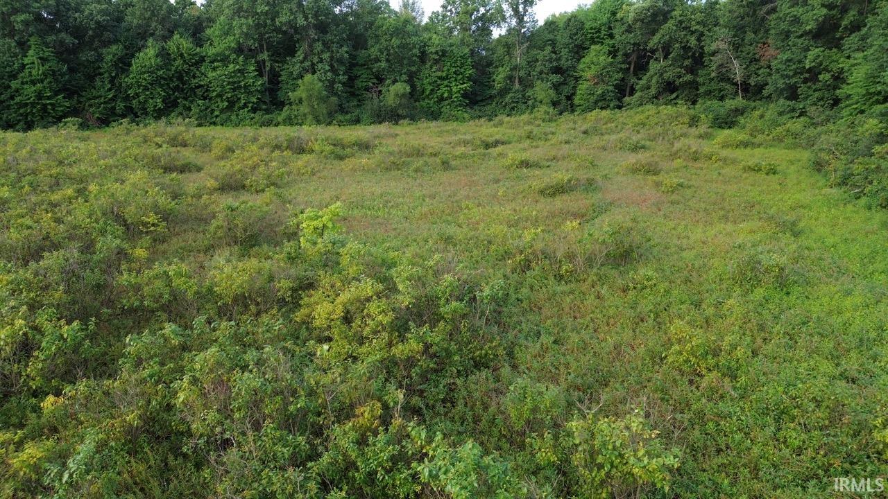 Photo 8 of VL Courtyard Lane