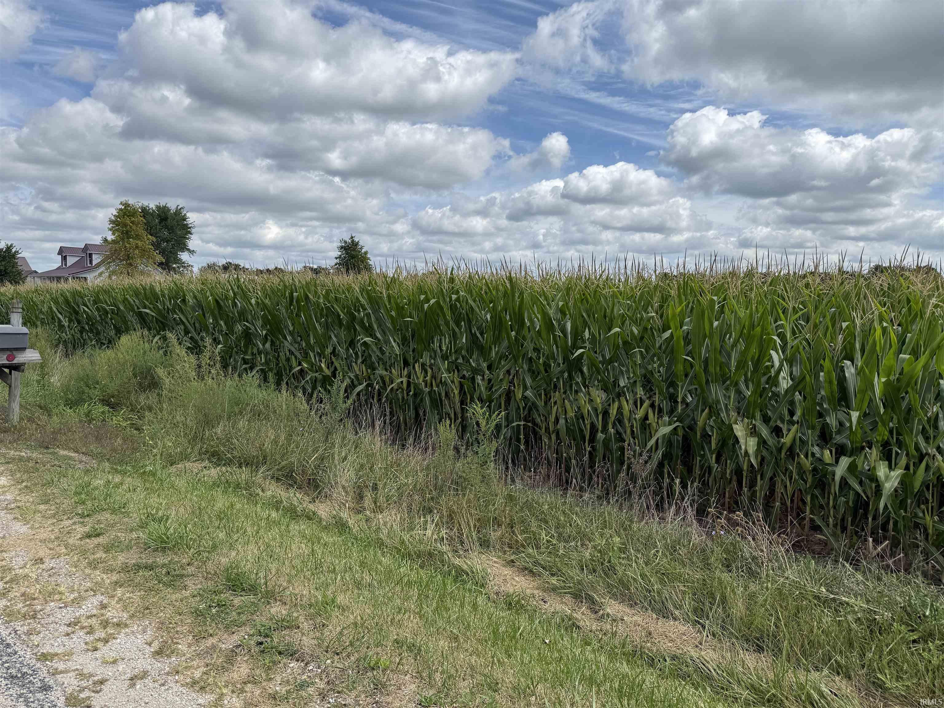 Photo 2 of N 300  E Road