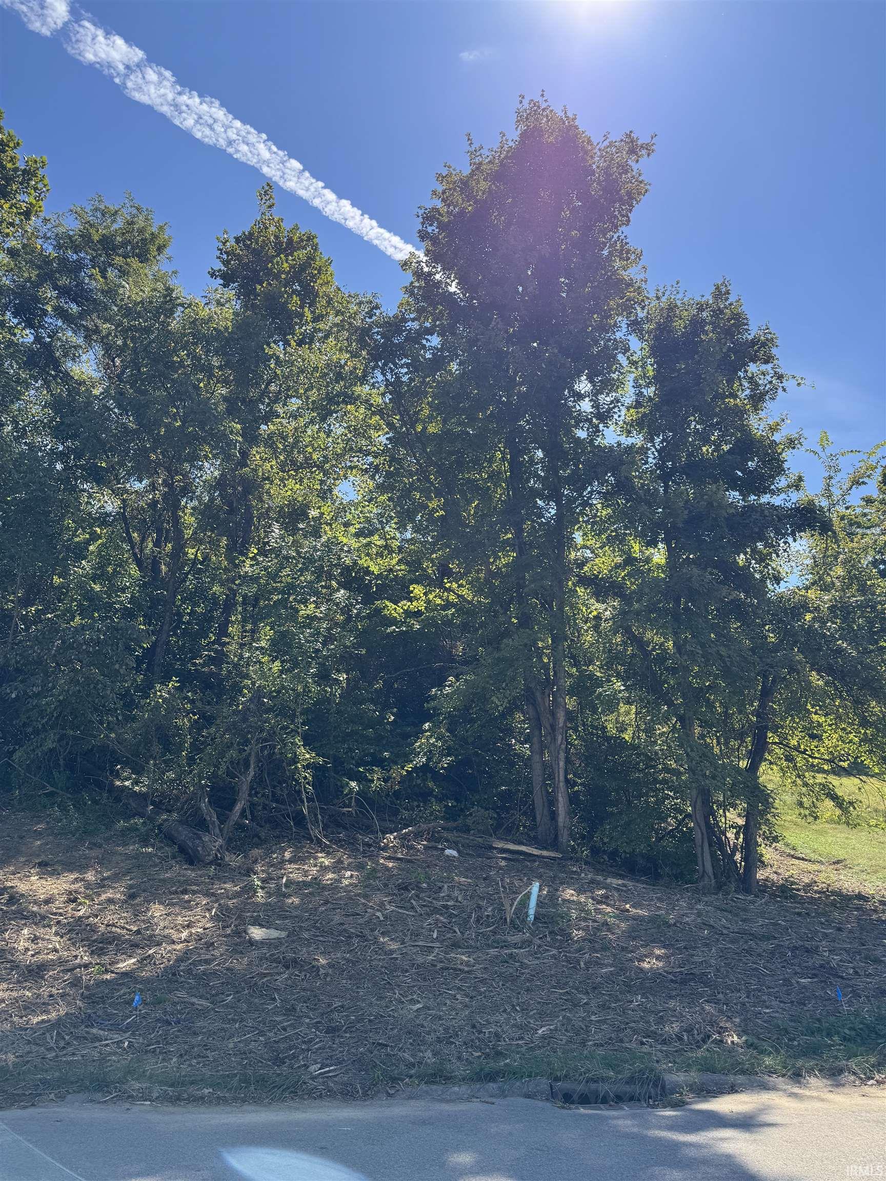 732 W Thornridge Way