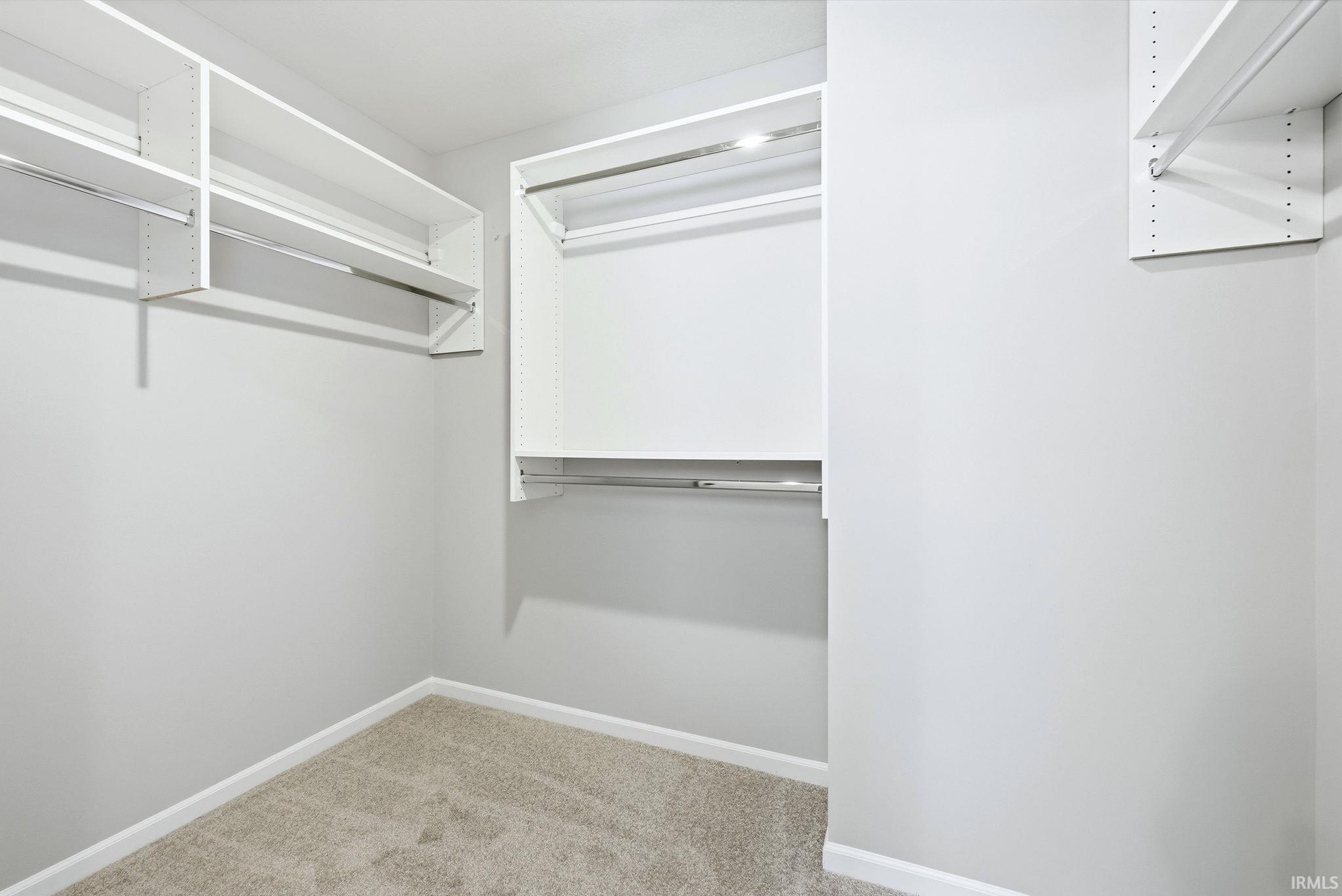 Walk in closet featuring light carpet