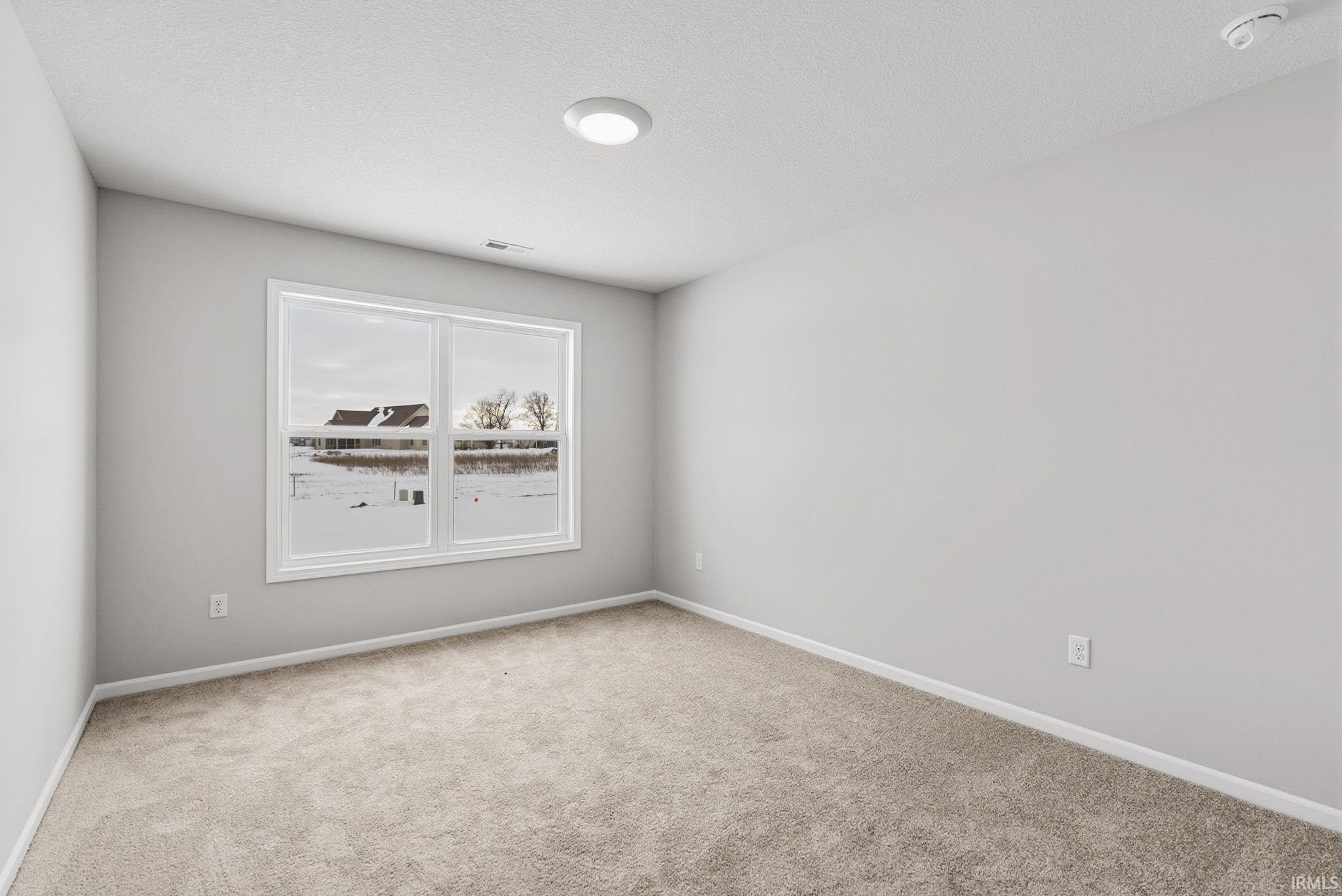 Unfurnished room featuring carpet flooring and a textured ceiling