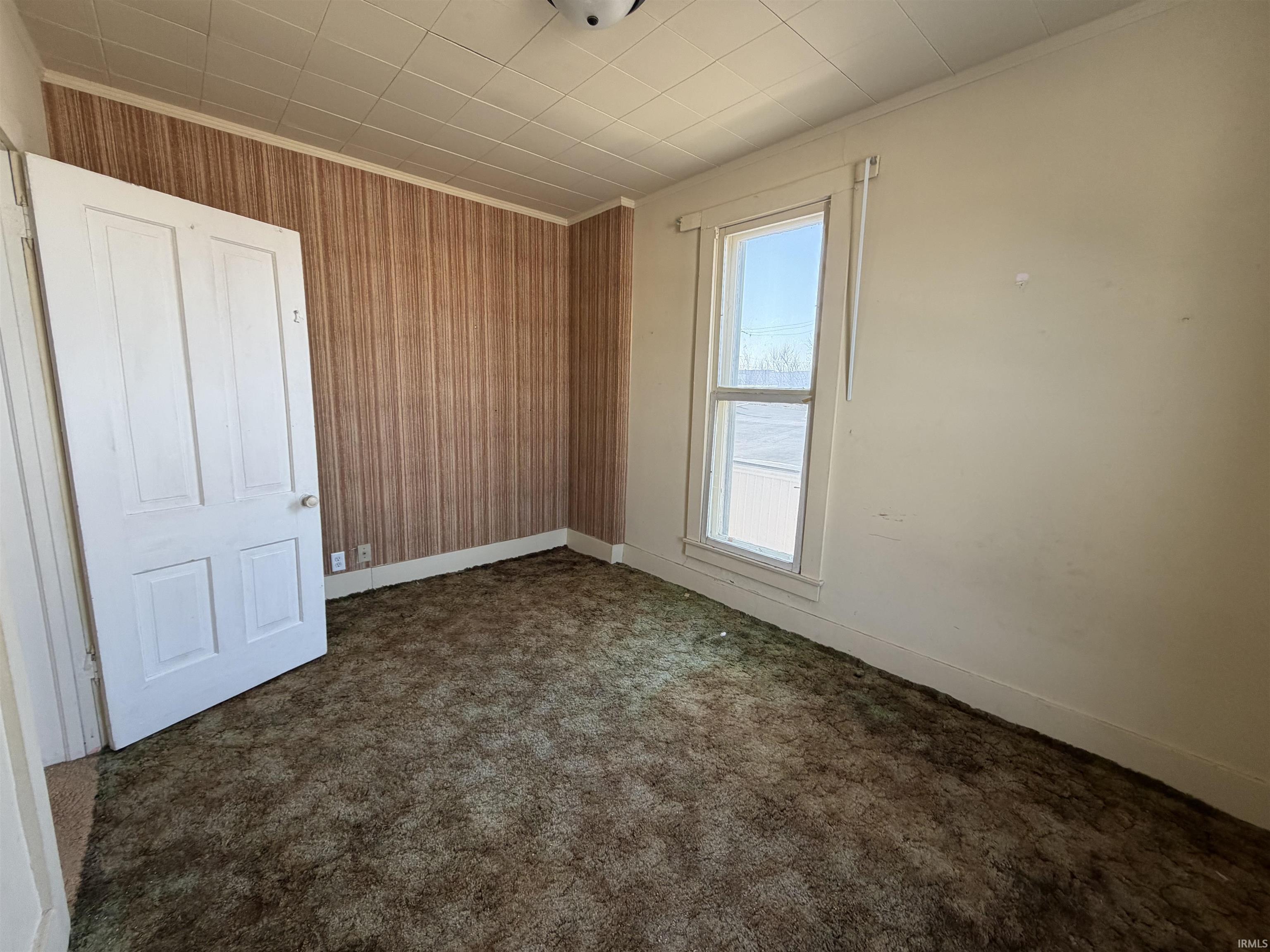 Spare room featuring wooden walls, dark carpet, and crown molding