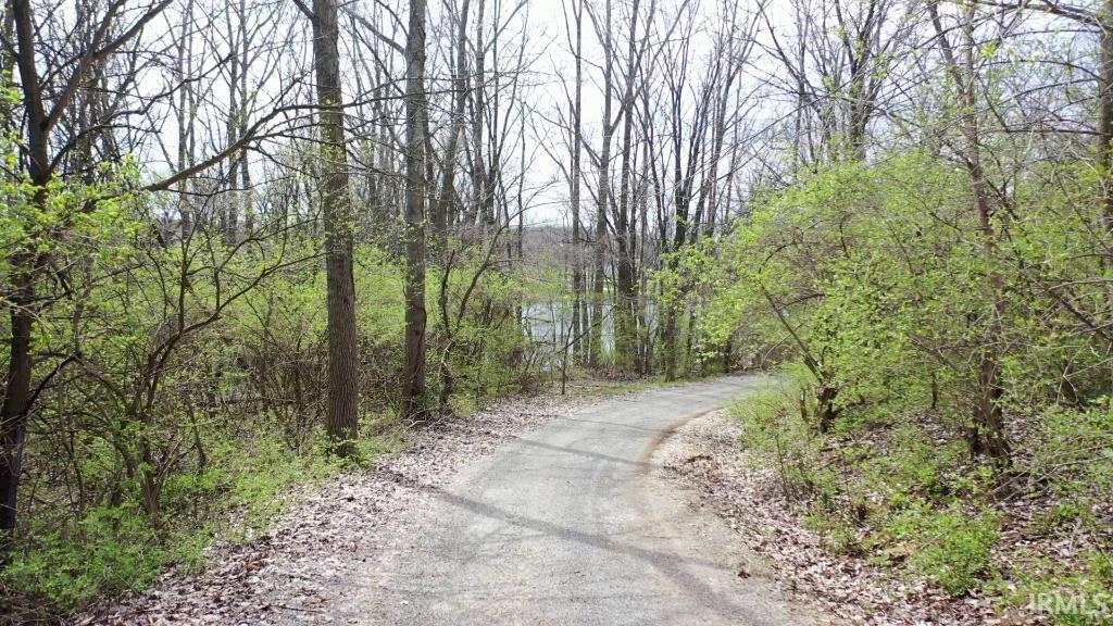 View of road featuring a wooded view