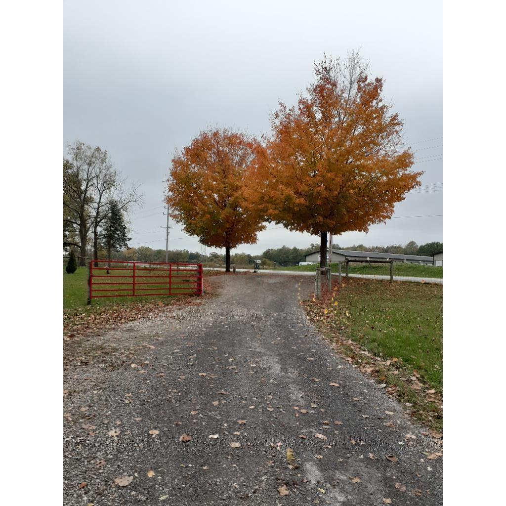 View of dirt / gravel road with a view of countryside and a gated entry