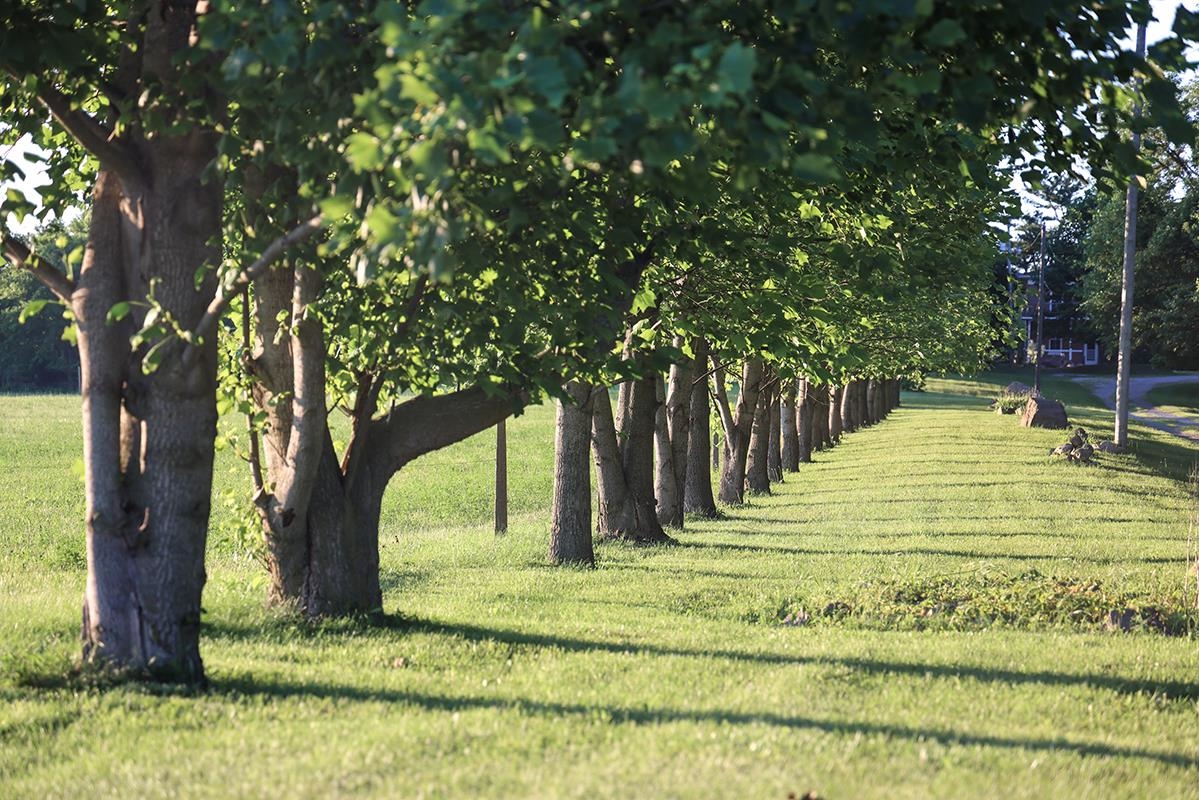 Photo 16 of 7382 E 750 S Road