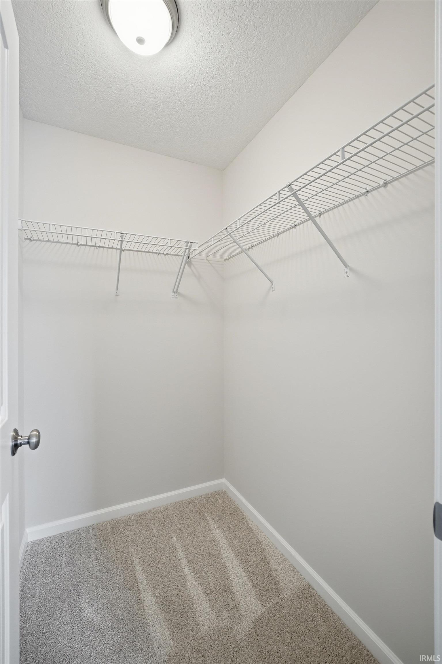 Spacious closet with carpet floors