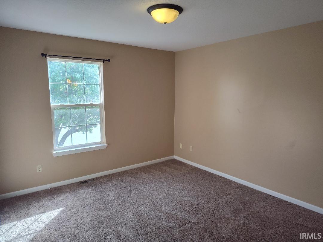 New carpet and a walk in closet