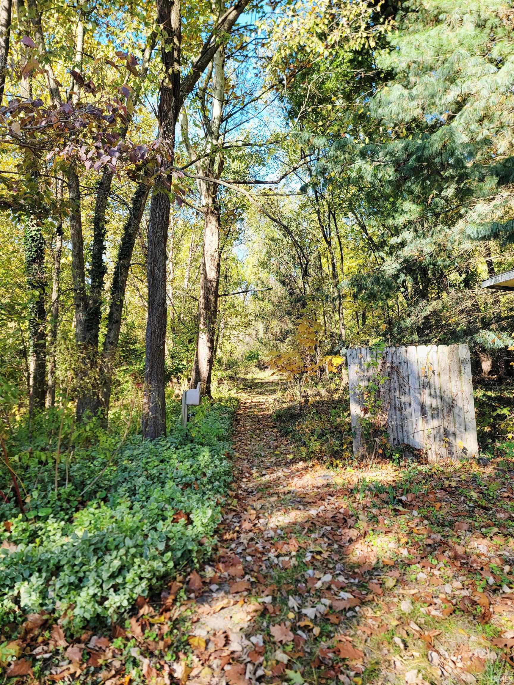 Photo 6 of 23057 Sheri Lane