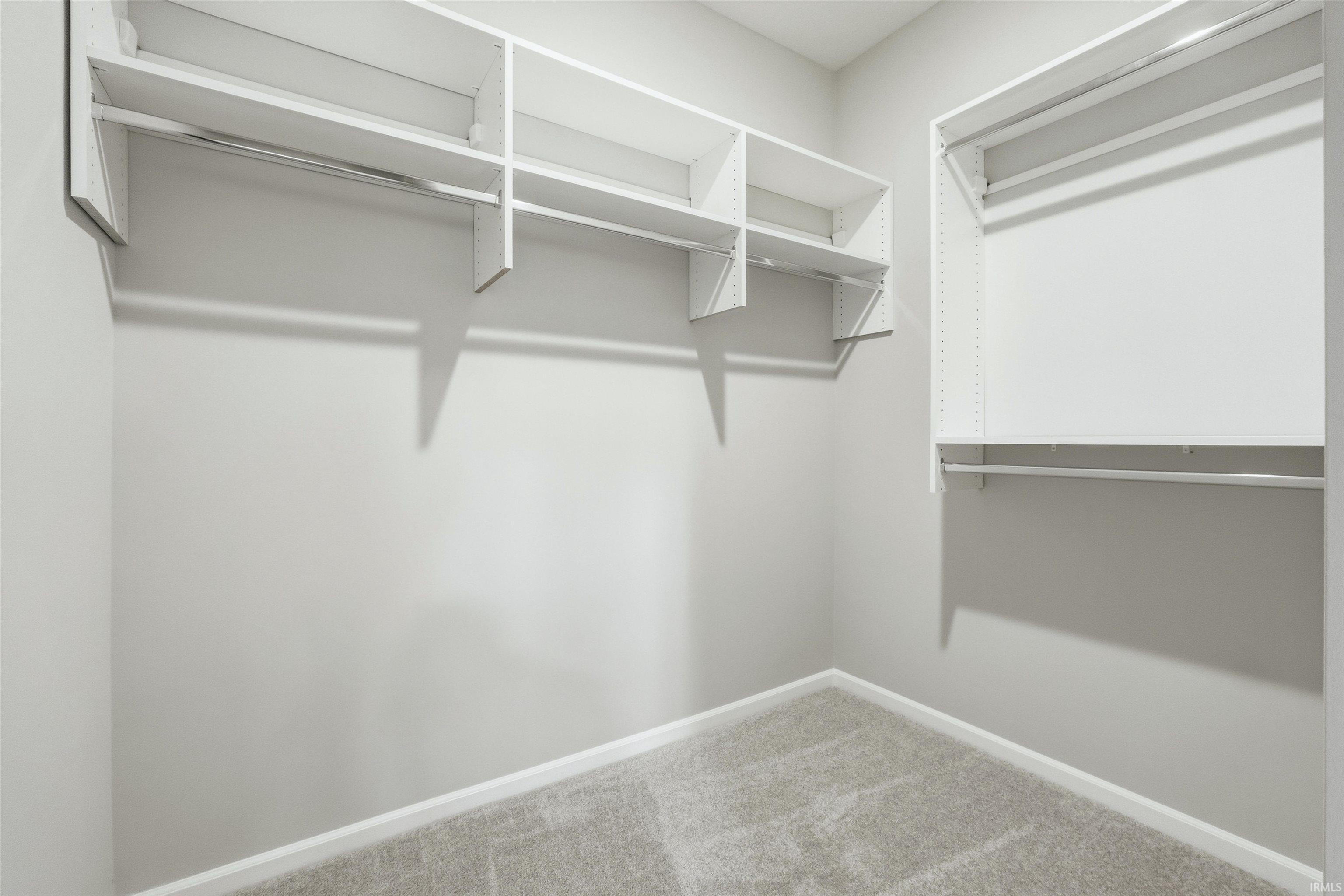 Owner Suite Walk in closet featuring carpet flooring