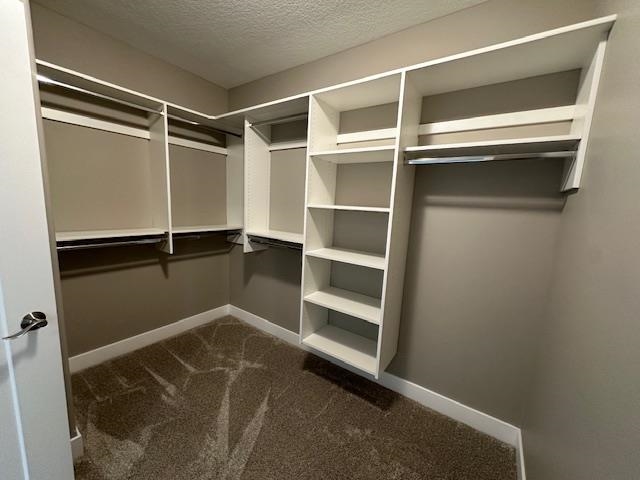 Photo 10 of 3230 Plum Tree Lane