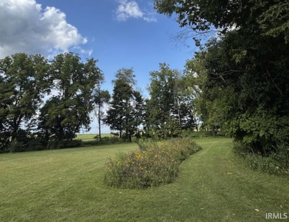 View of green lawn