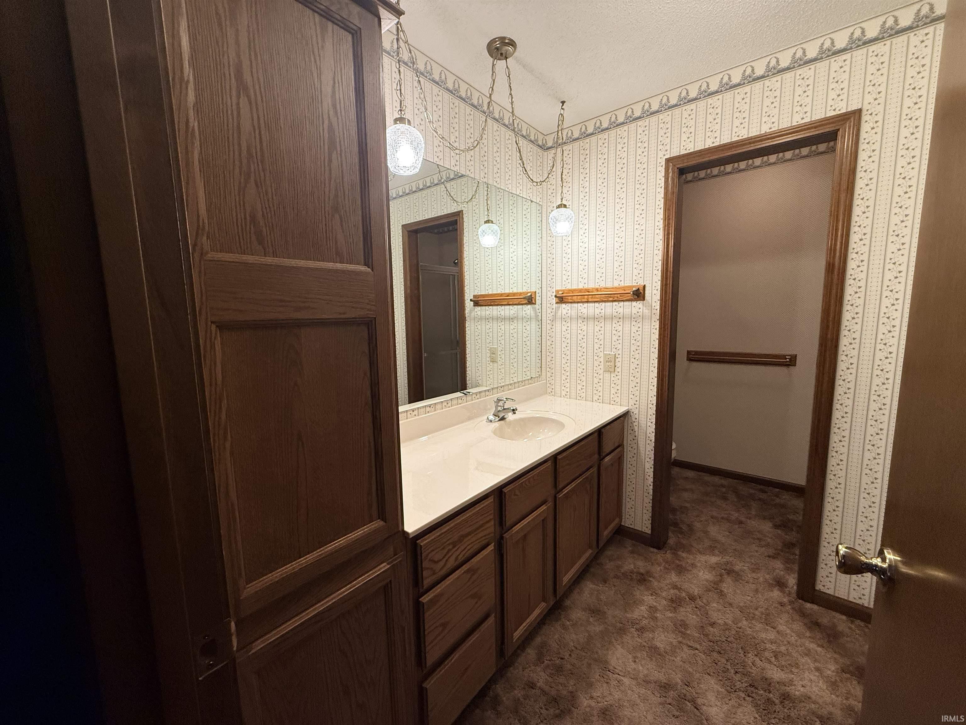 Bathroom featuring vanity, wallpapered walls, dark carpet, and a closet