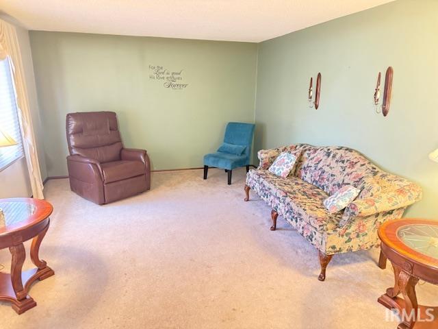 Sitting room with carpet flooring