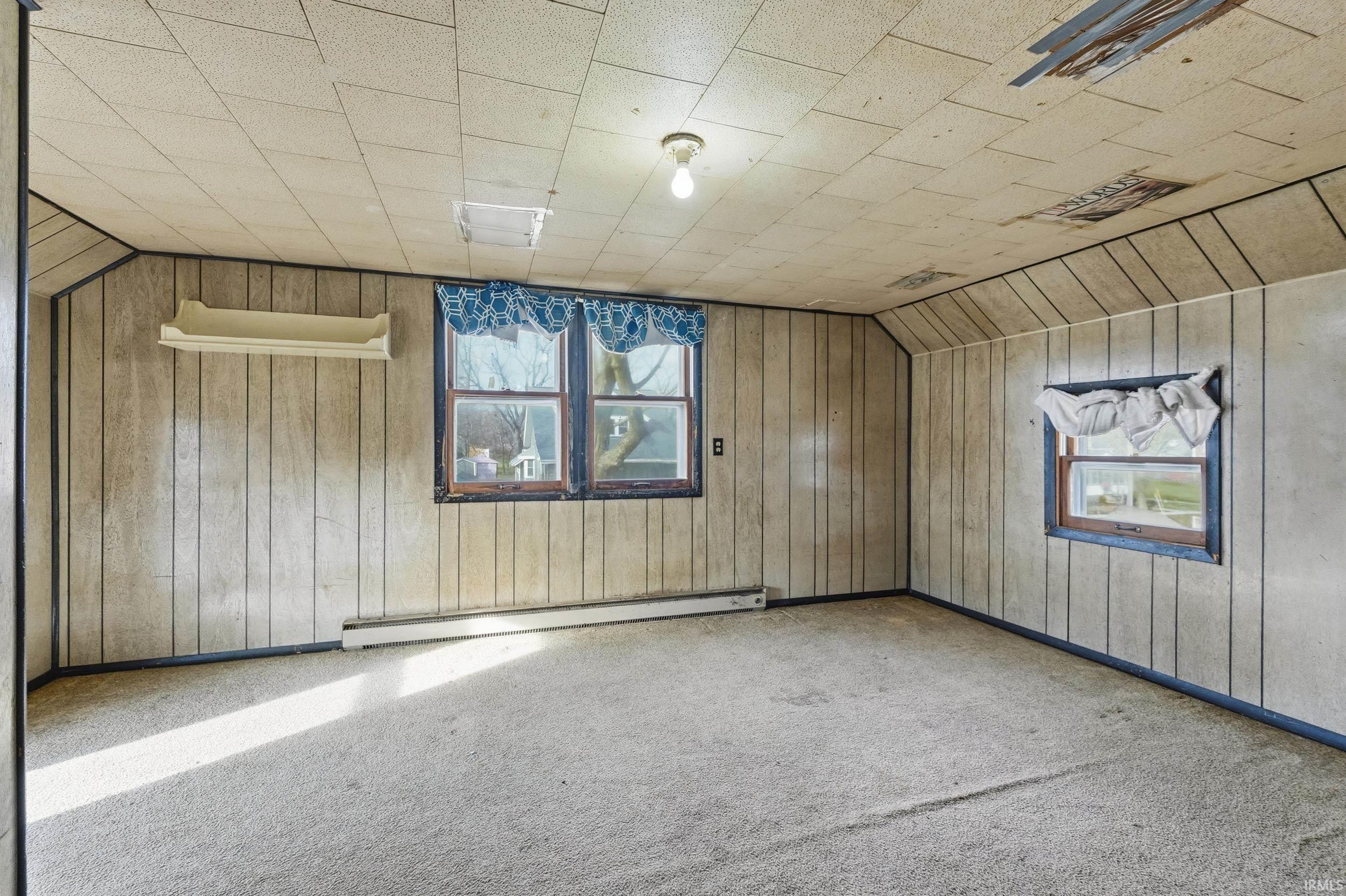 Additional living space with wood walls, carpet, and a baseboard radiator
