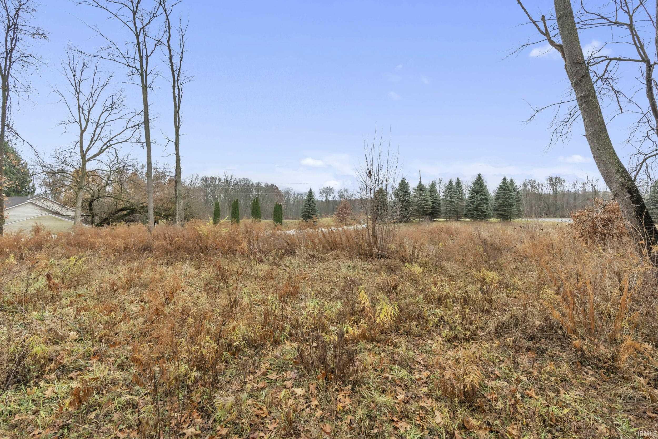 View of woods featuring a rural view
