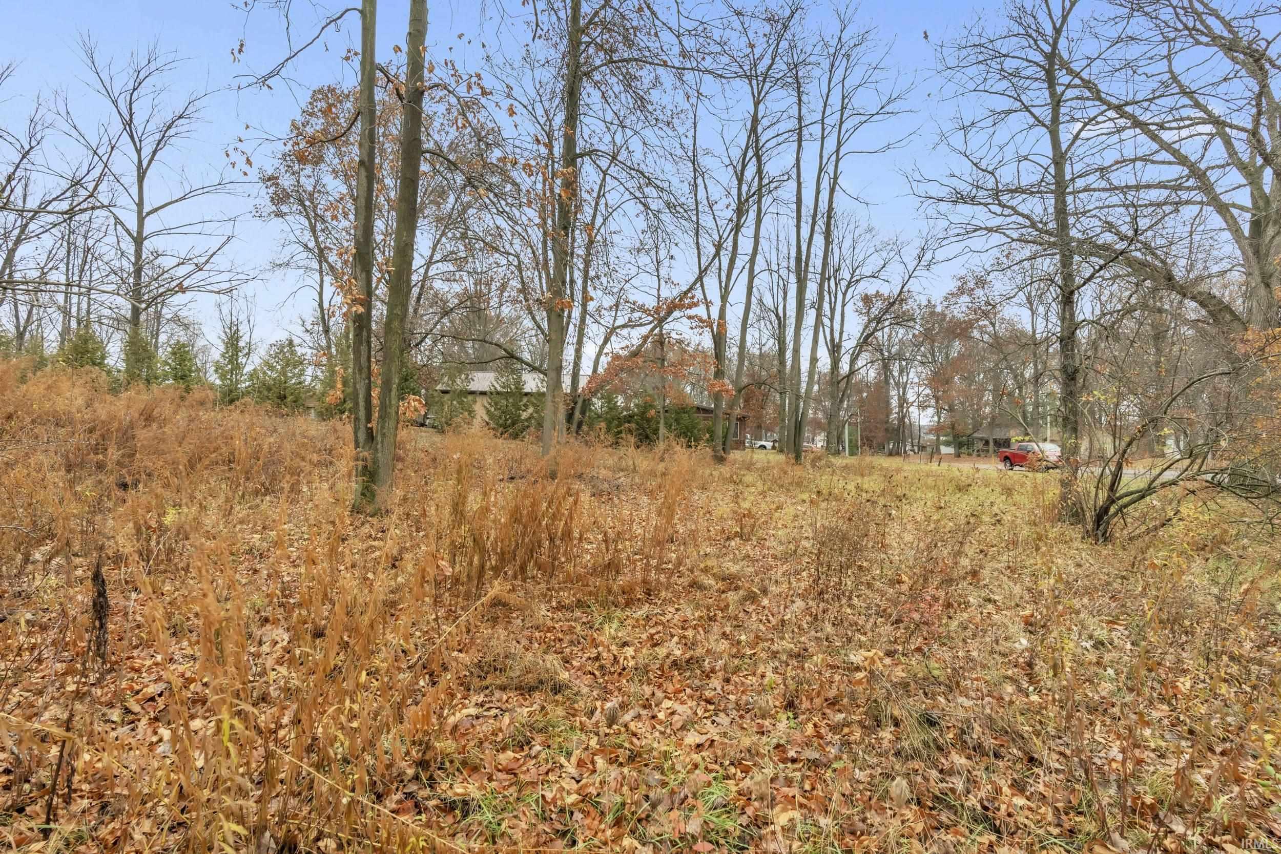 View of undeveloped land