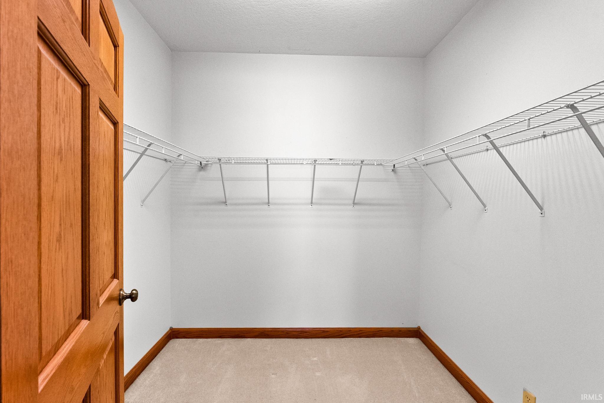 Spacious closet with light carpet