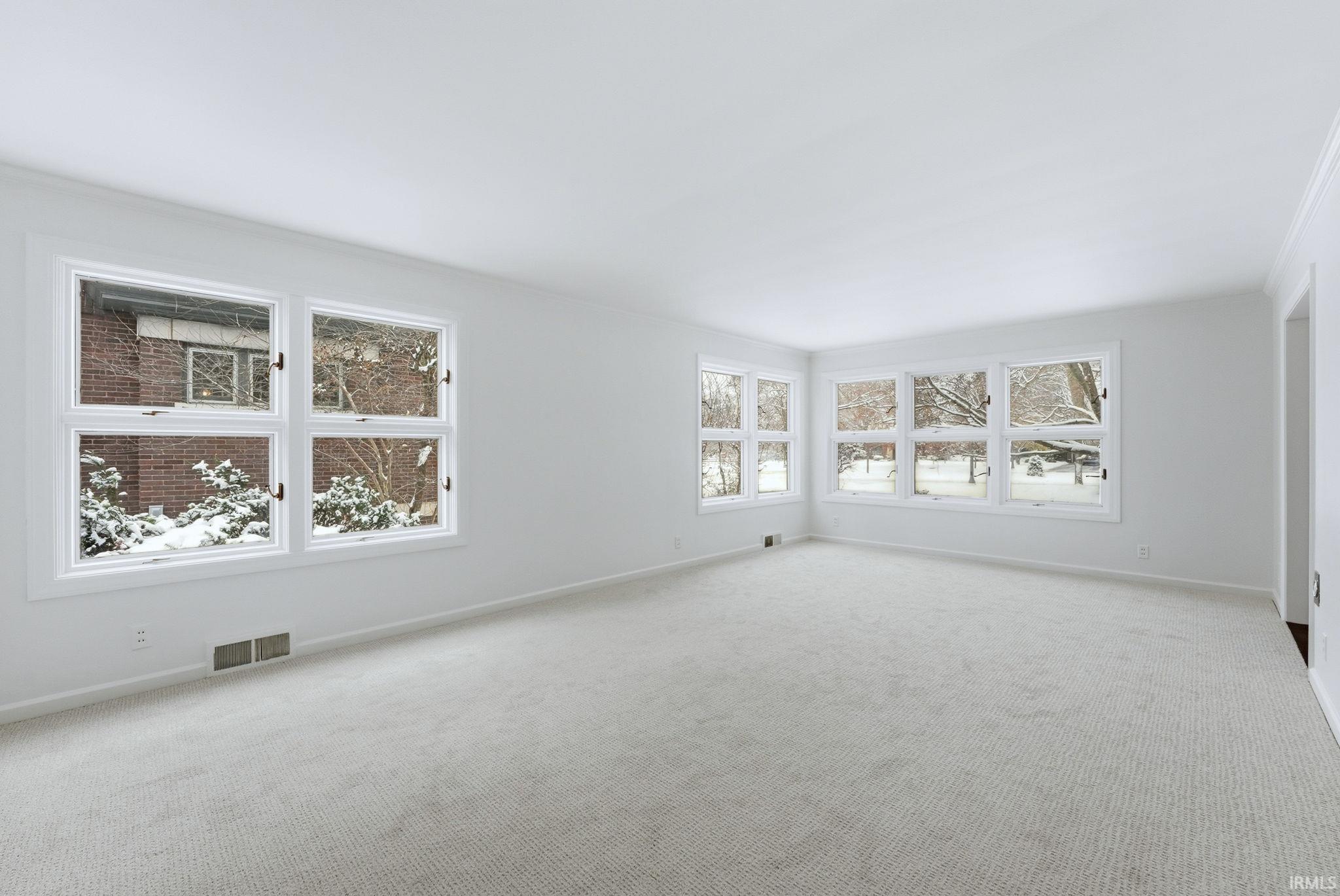 Spare room featuring carpet flooring and crown molding