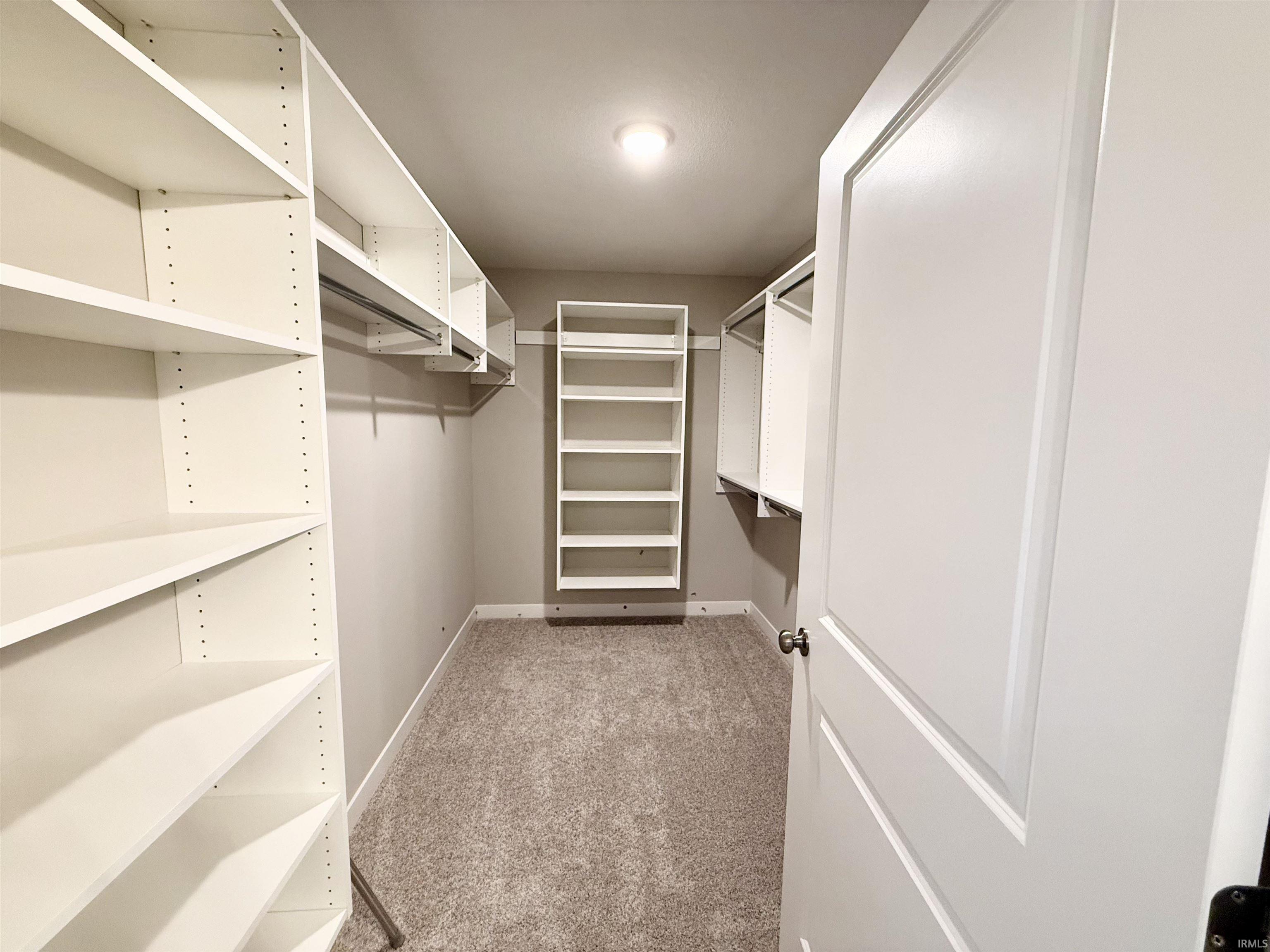 Walk in closet featuring light carpet