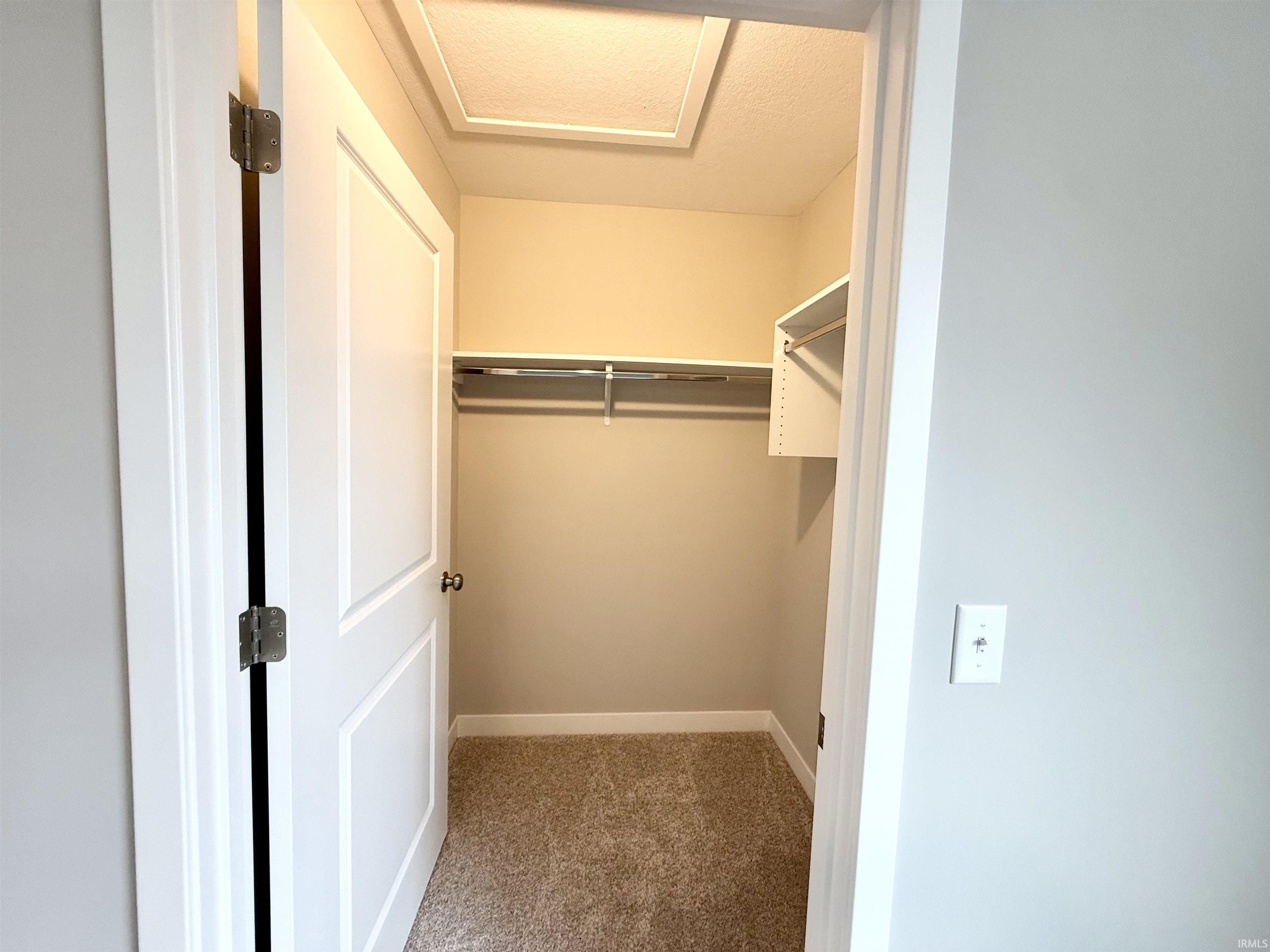 Walk in closet with light colored carpet