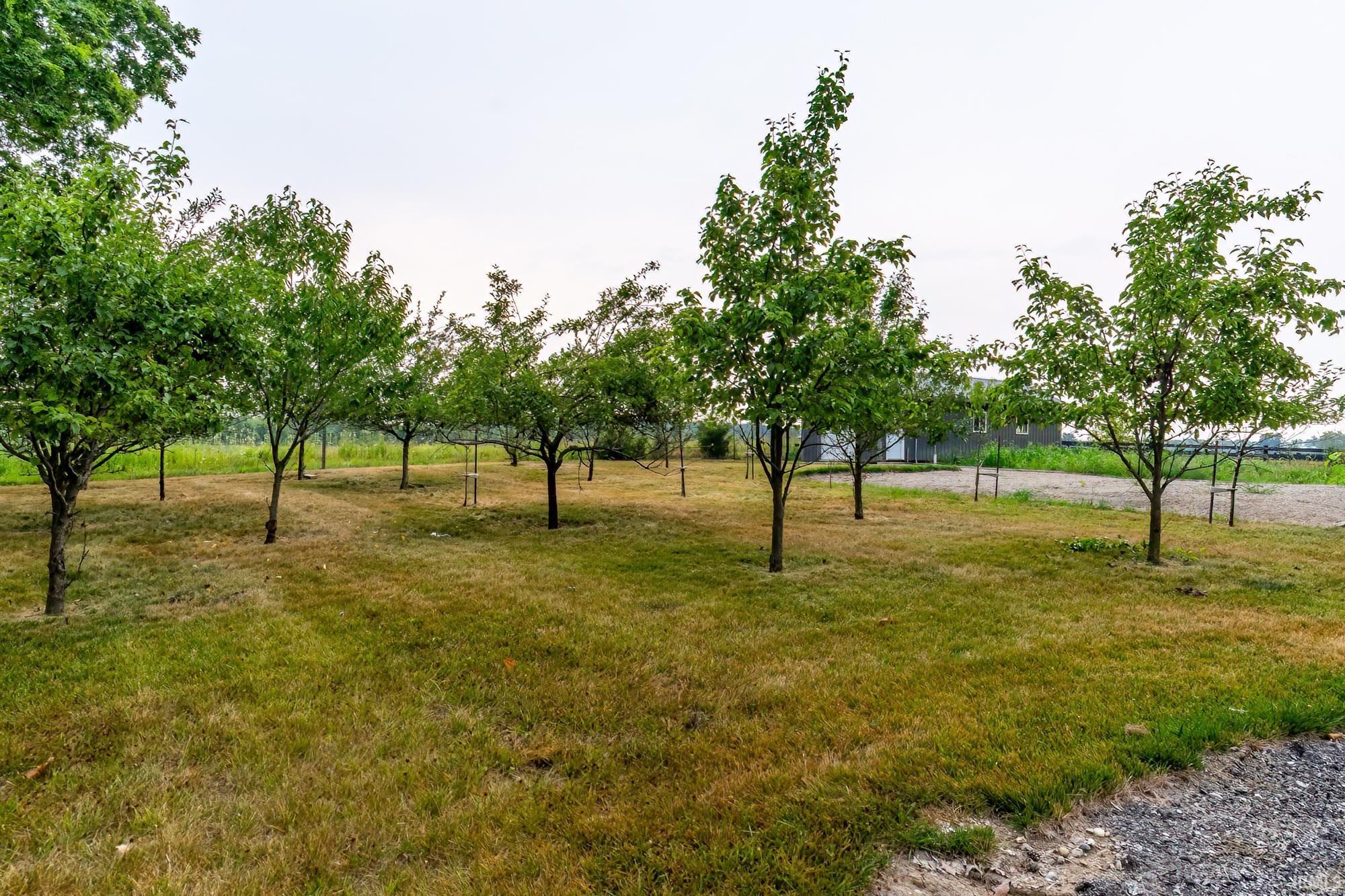 Expansive grassy area featuring multiple deciduous trees