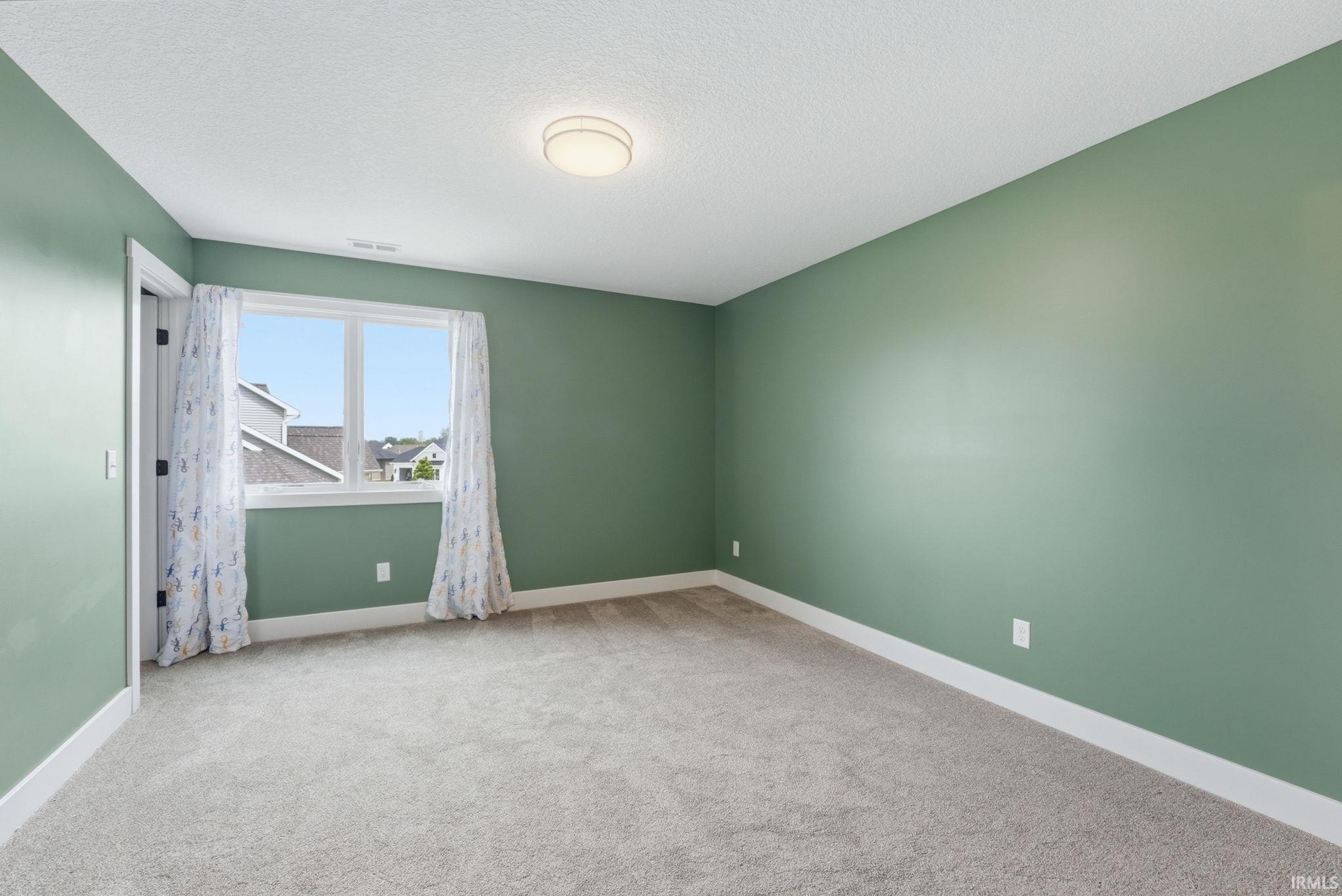 Carpeted interior room featuring light green walls and white trim