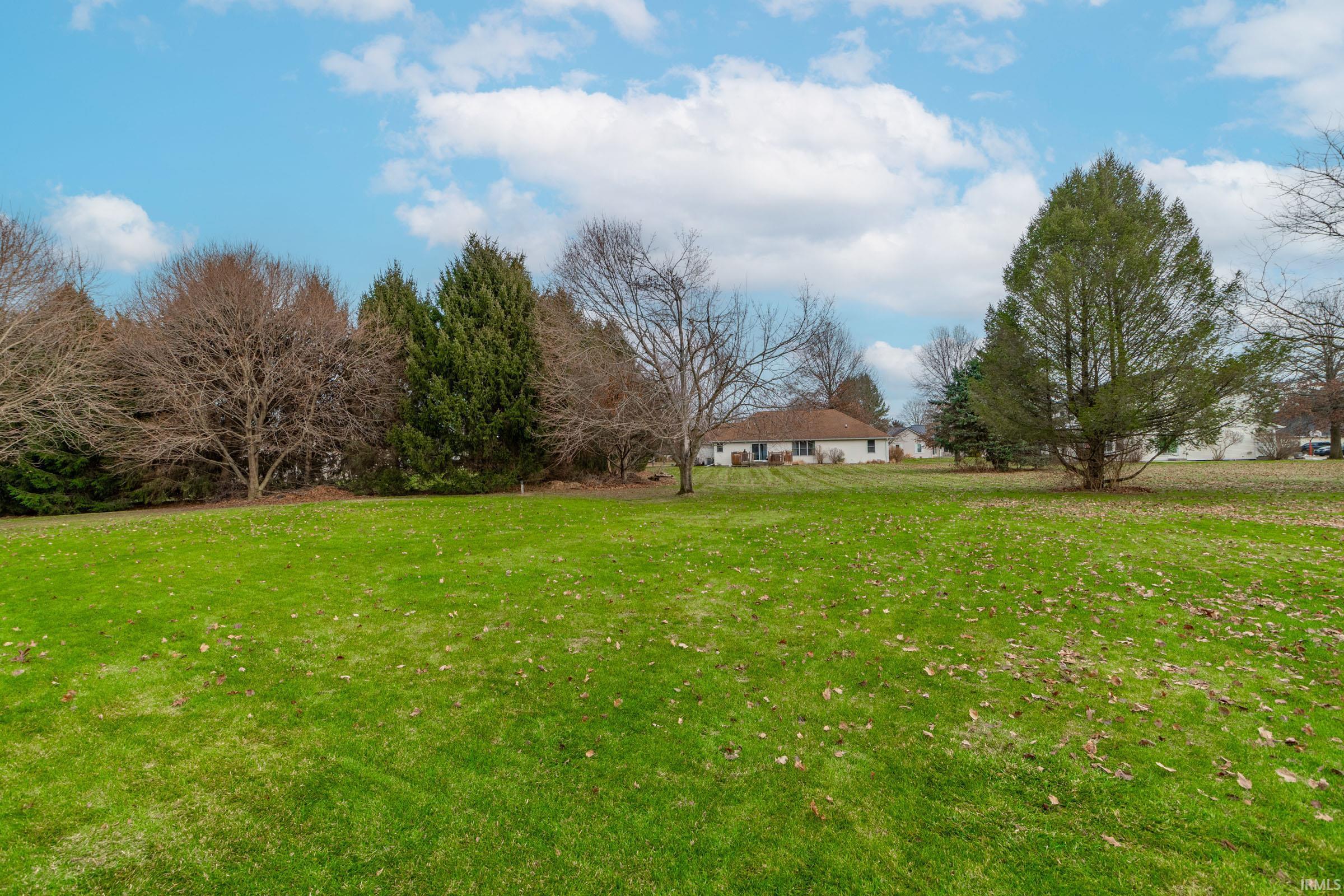 View of grassy yard