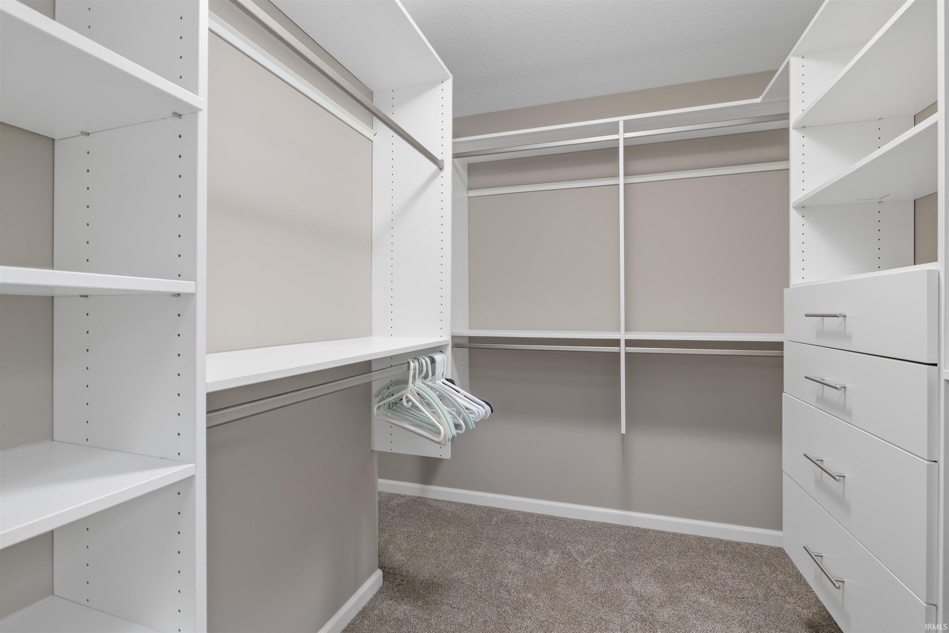 Spacious closet featuring light carpet