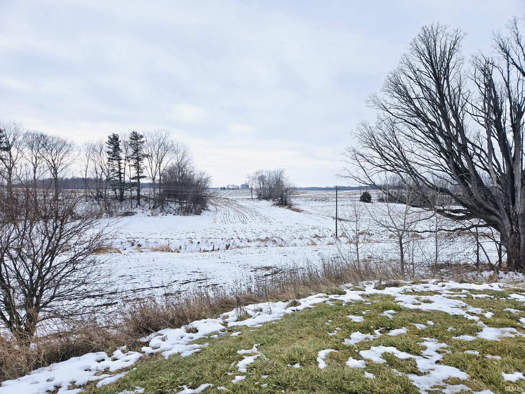 View of yard covered in snow