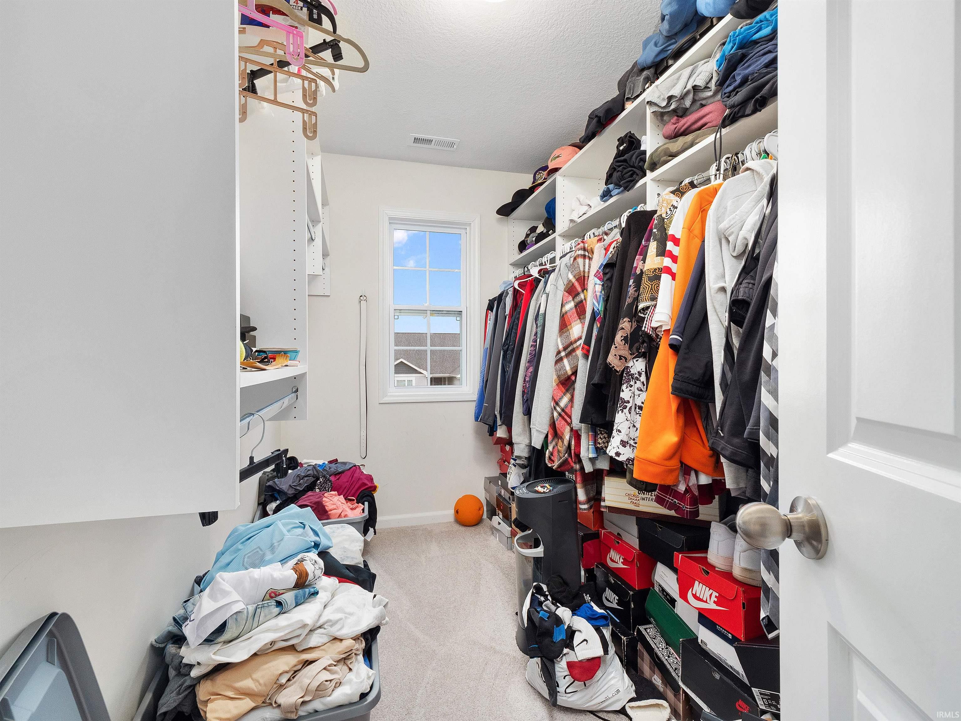 Walk in closet with light colored carpet