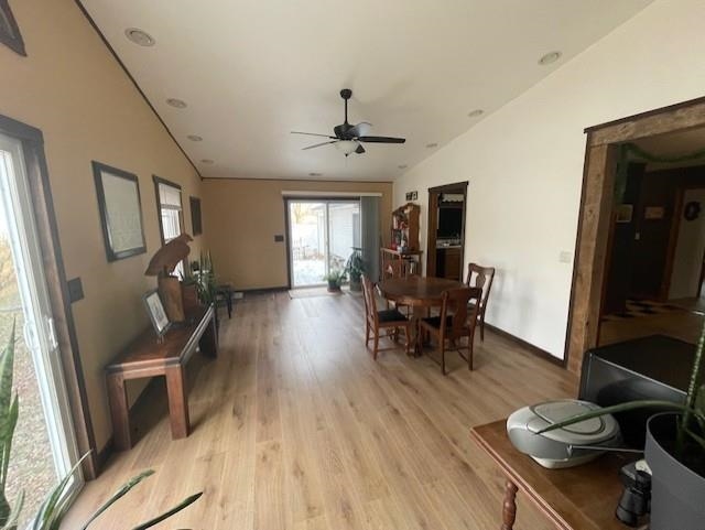 living room featuring lofted ceiling, light wood finished floors, and a ceiling fan