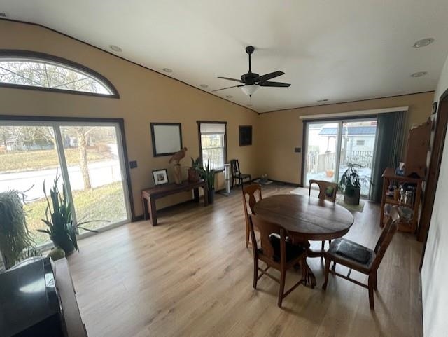 living room featuring lofted ceiling, light wood-style floors, and ceiling fan & 2 patio doors