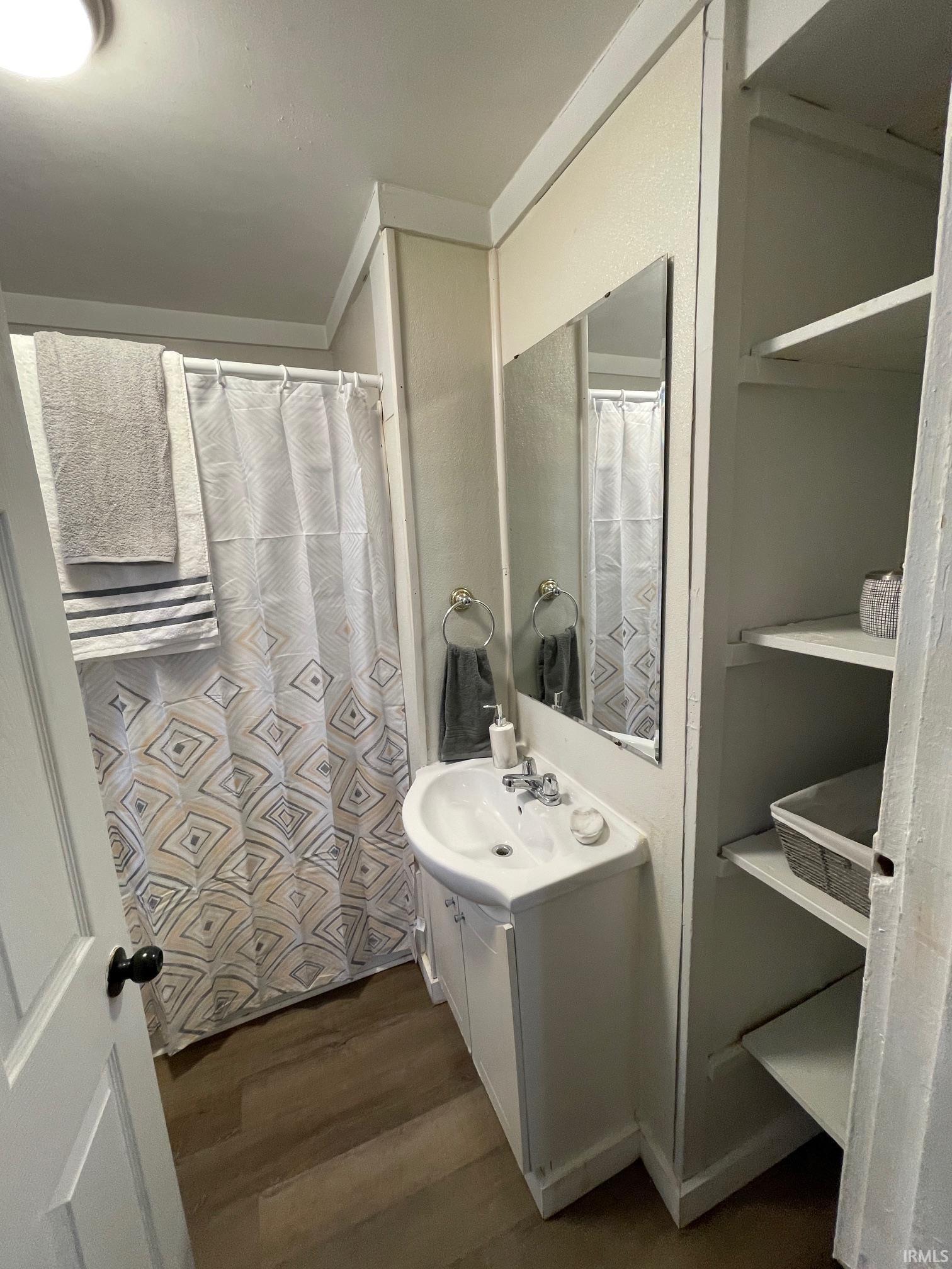 Bathroom featuring dark wood-style floors, vanity, and a shower with curtain