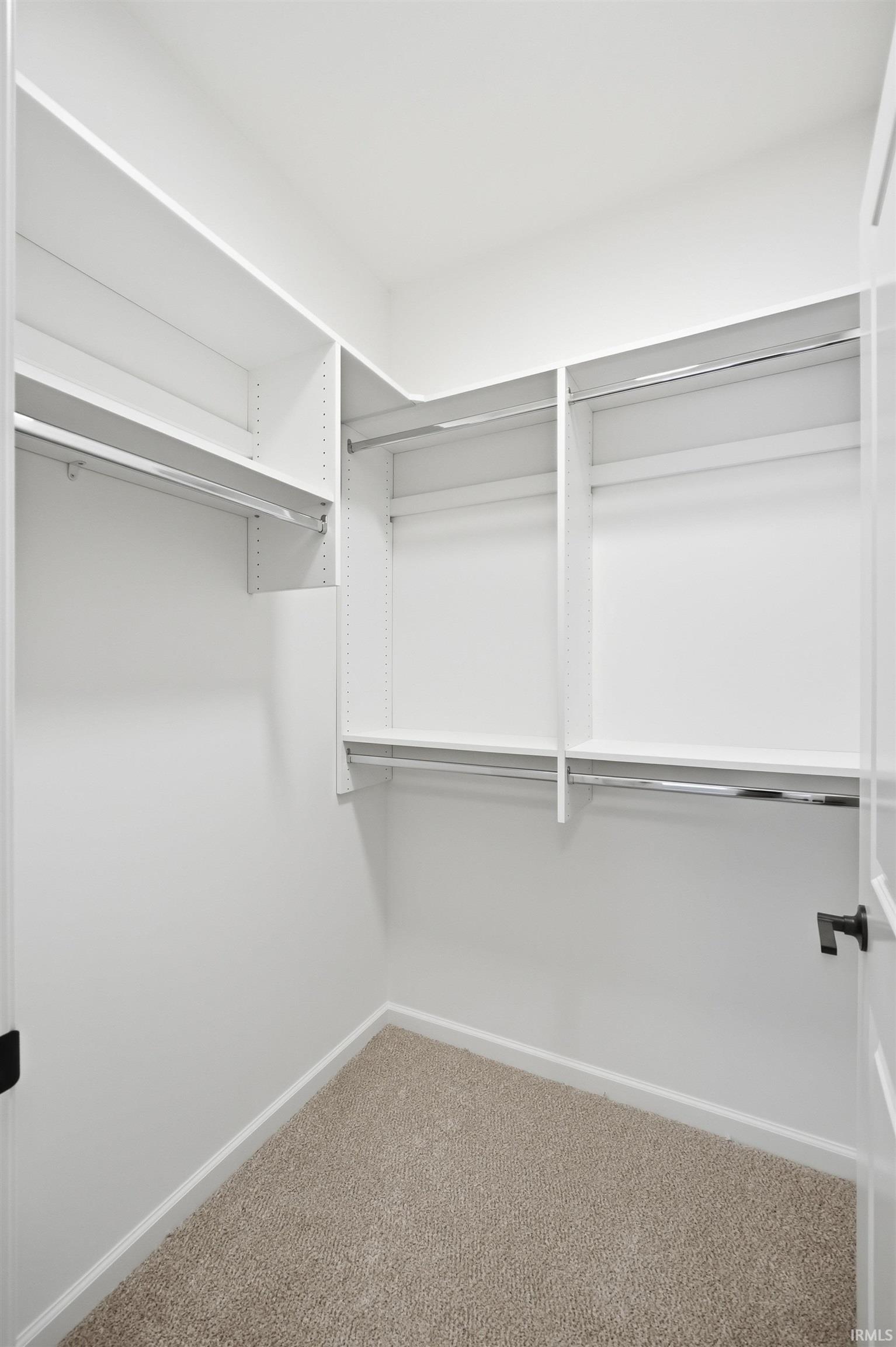Spacious closet with carpet