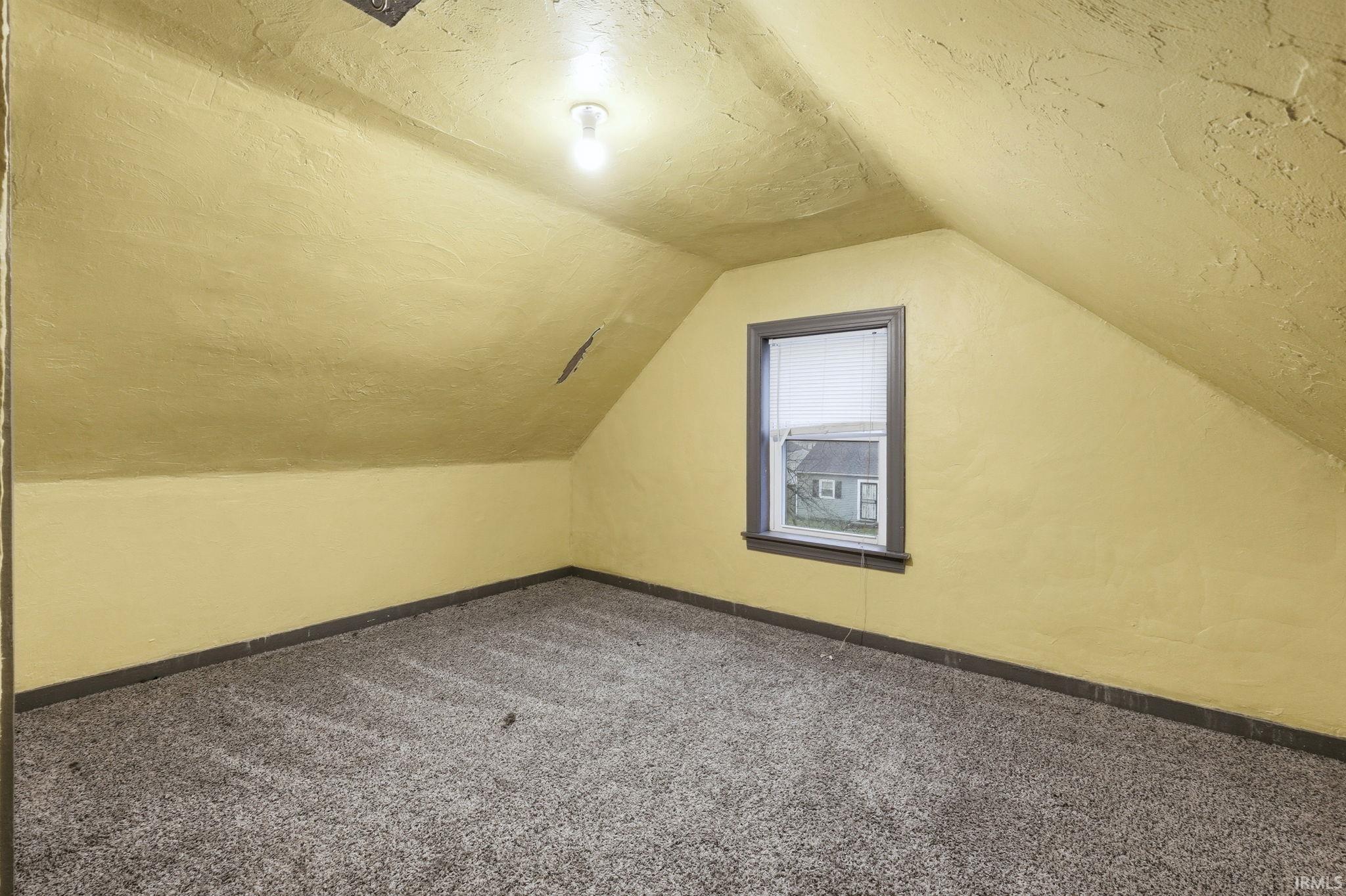 Additional living space with carpet, lofted ceiling, and a textured ceiling