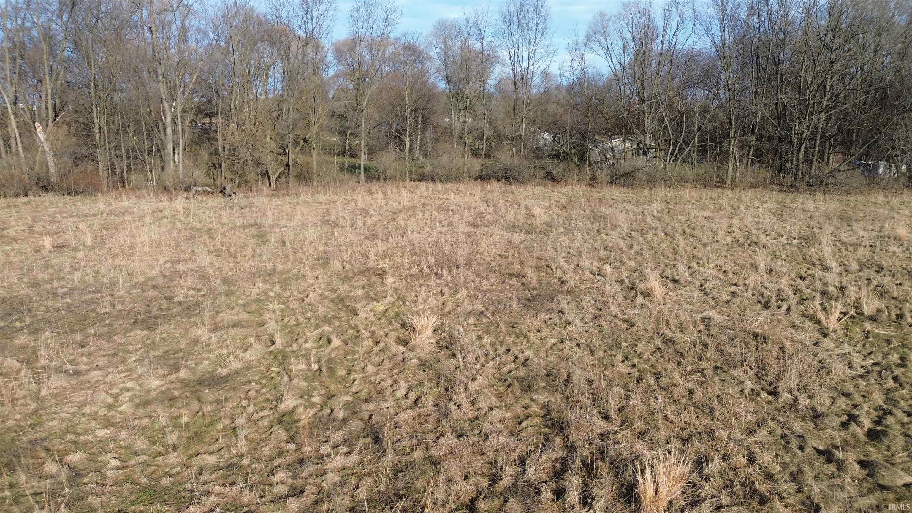 View of tree filled area