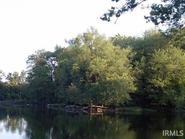 Water view featuring a forest