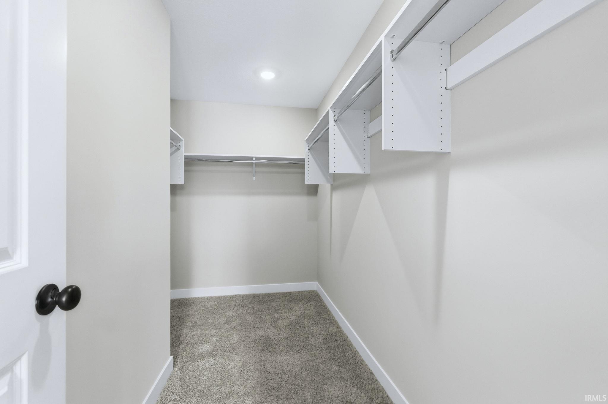 Spacious closet featuring light colored carpet